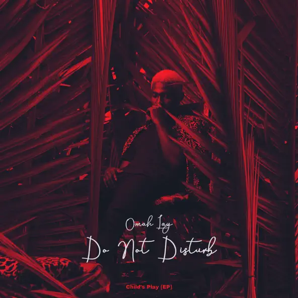 Do Not Disturb Lyrics