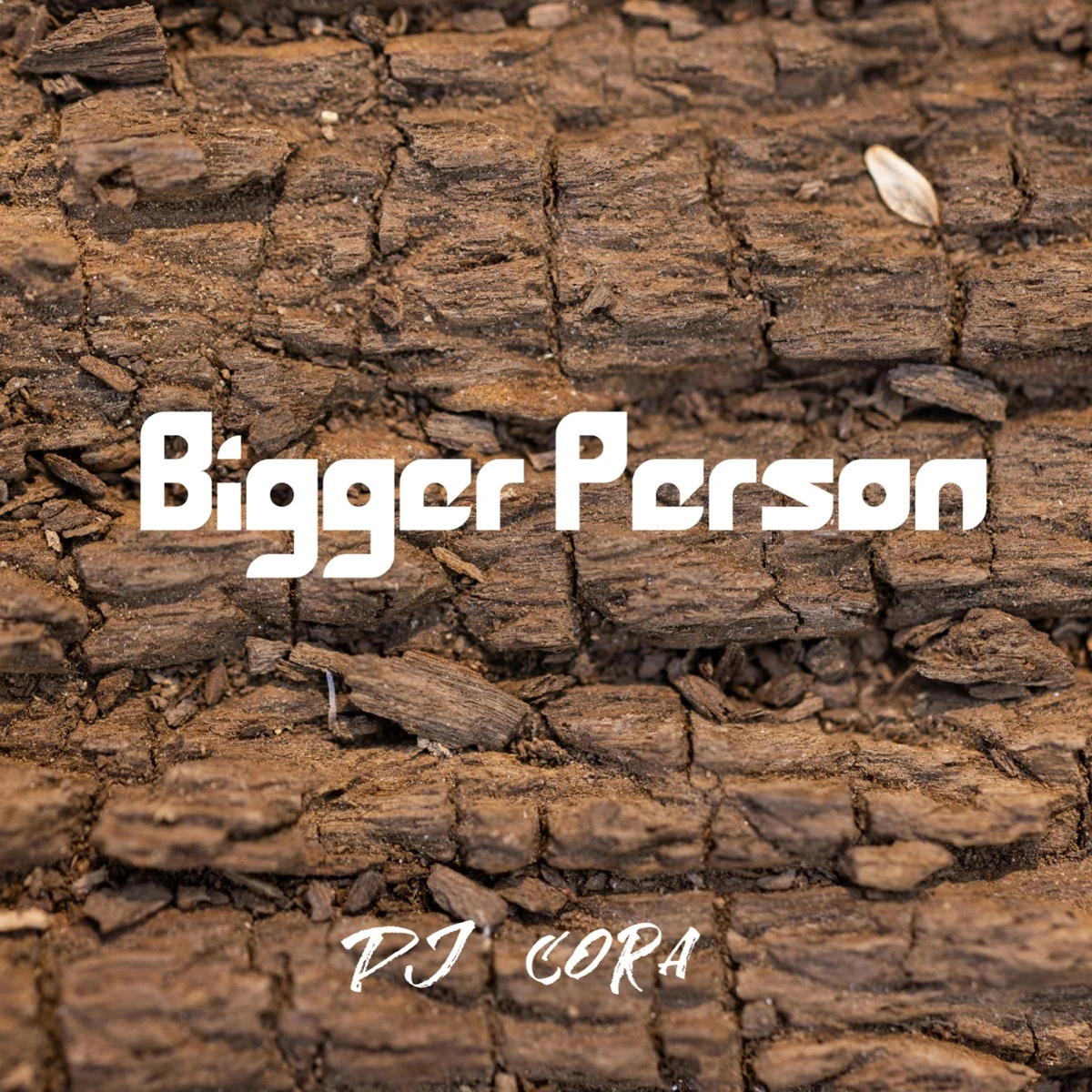 Bigger Person Lyrics