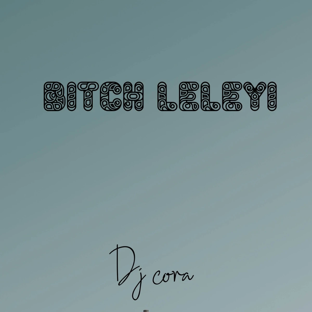 Bitch Leleyi Lyrics