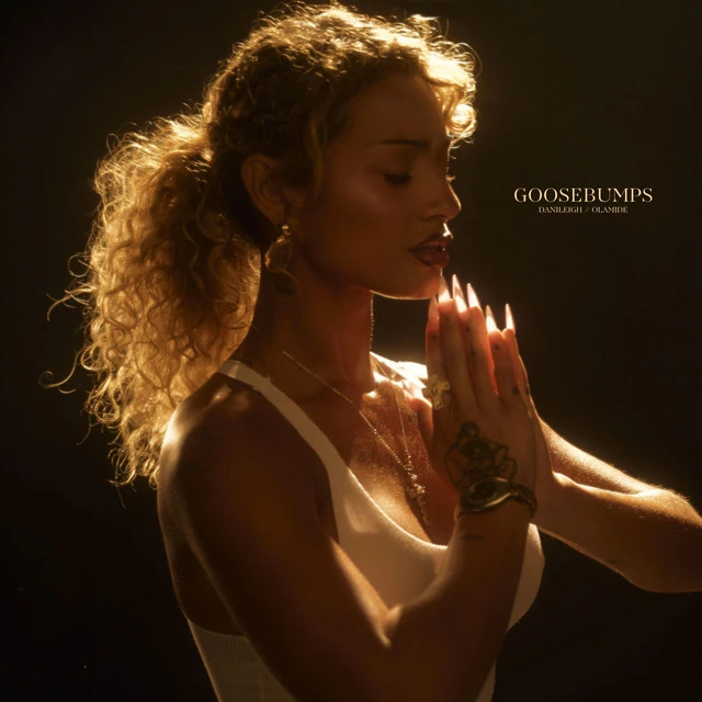 Goosebumps Lyrics by DaniLeigh Goosebumps Lyrics