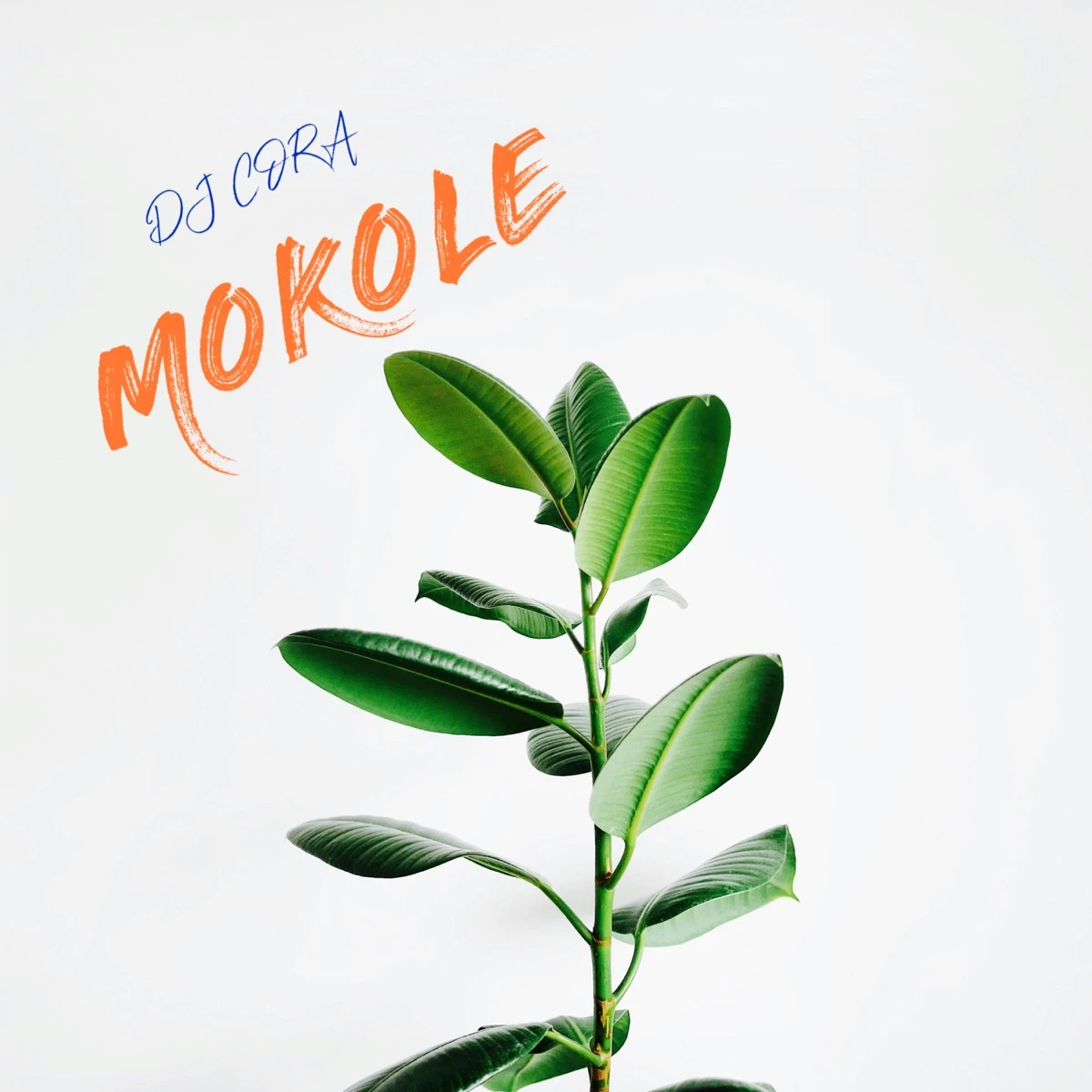 Mokole Lyrics