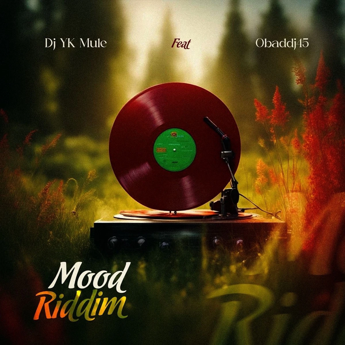 Mood Riddim Lyrics