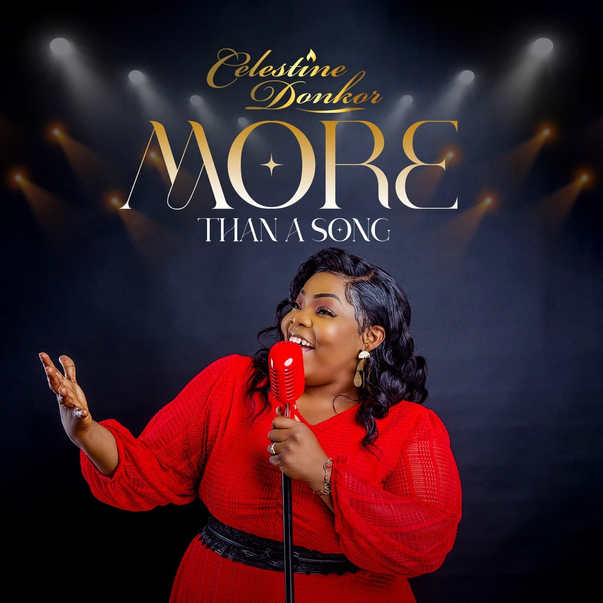 More Than a Song (Live) Lyrics