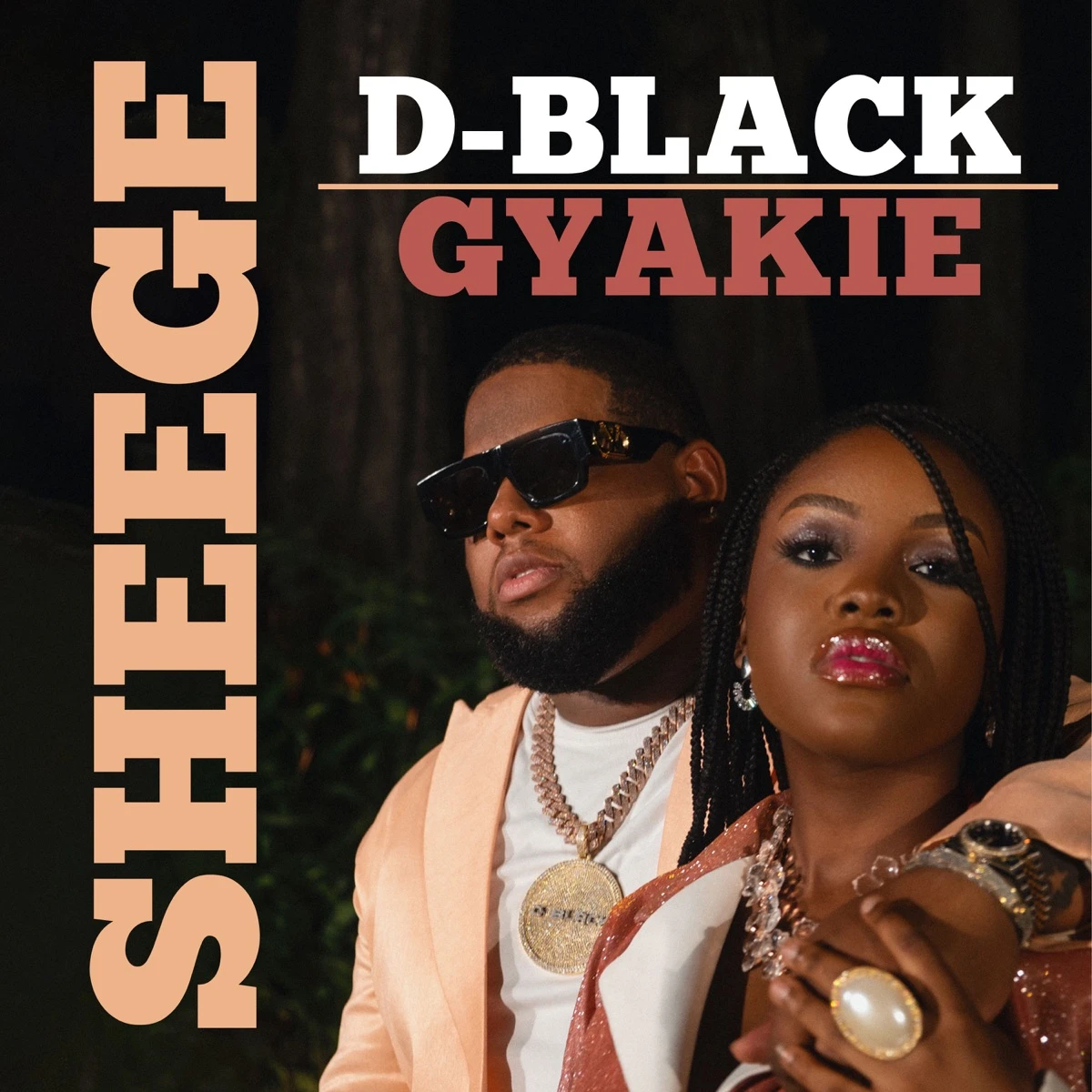 Sheege Lyrics by D-Black Sheege Lyrics