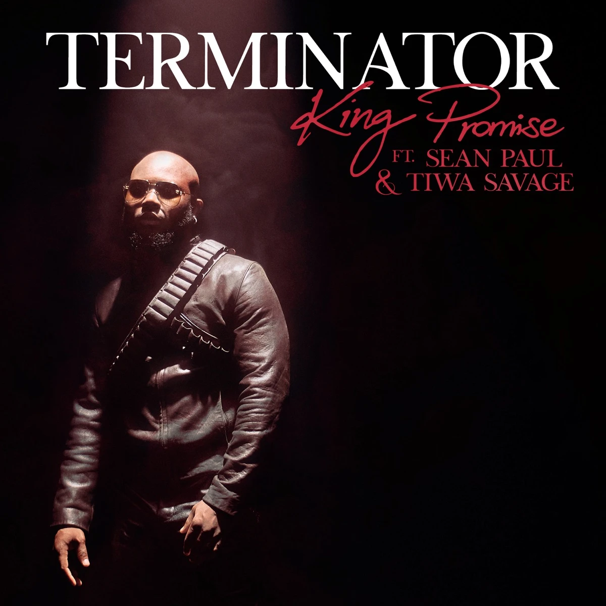 Terminator (Remix) Lyrics by King Promise Terminator (Remix) Lyrics