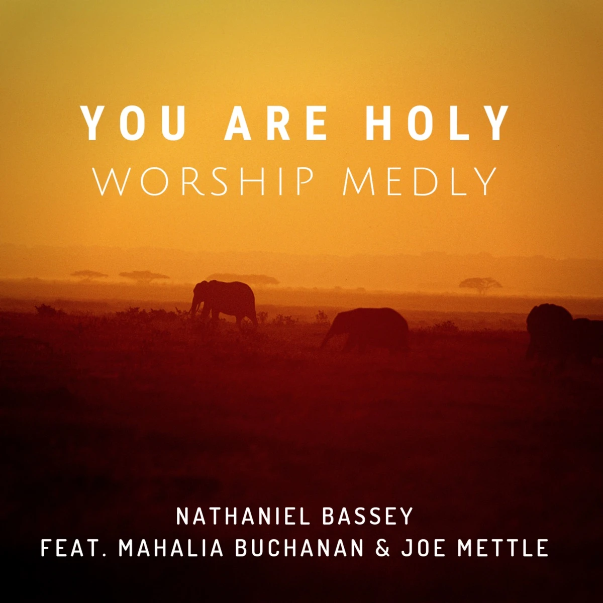 You Are Holy (Worship Medly) Lyrics by Nathaniel Bassey You Are Holy (Worship Medly) Lyrics
